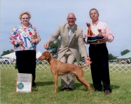 Image of Windor's Silver Charm