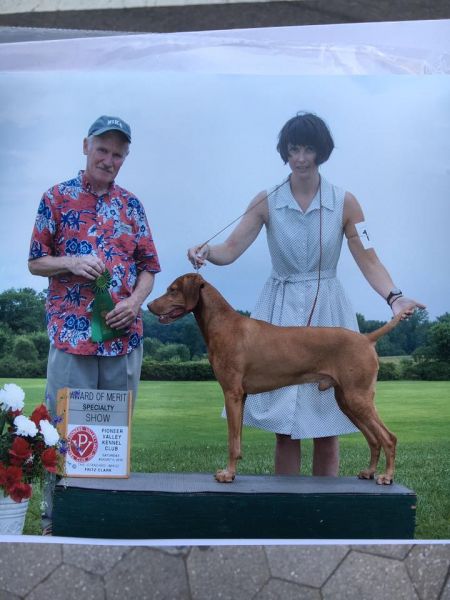 Image of Windor's Silver Charm