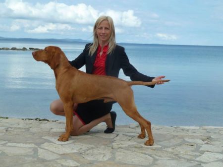 Image of Alfred of Nettlefield