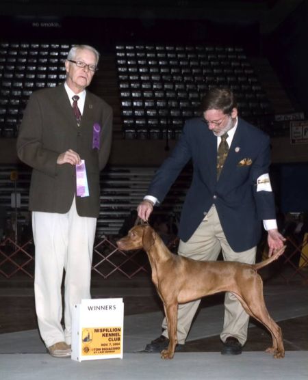 Image of Rheingold Fricka Zee Chloe