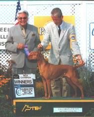 Image of Onpoint's Tuff Stuff