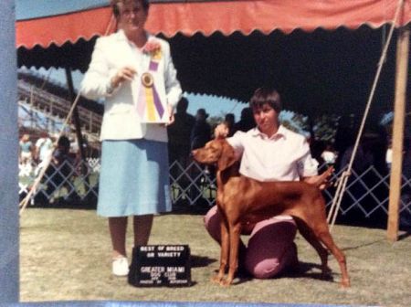 Image of Cinnabar's Bedtime Story