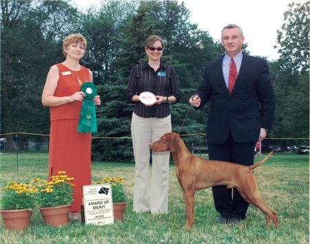 Image of Piroska Toldin's Turn N Burn