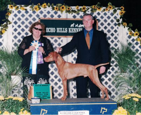 Image of Piroska Toldin's Turn N Burn