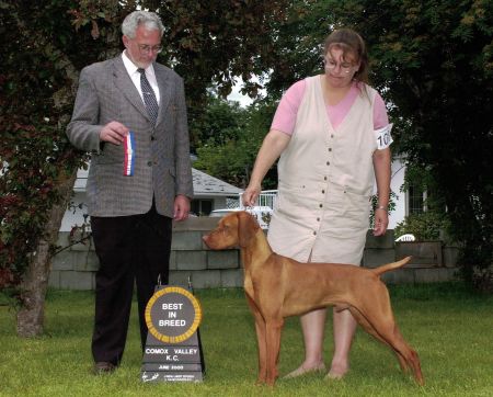 Image of Piroska Locked And Loaded