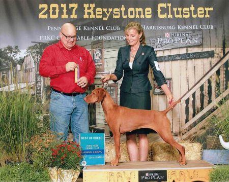 Image of Cameo's Secret Agent 'M'