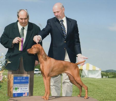 Image of Copper Creek African Summer