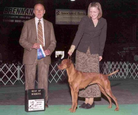 Image of Jiris's Maxximum Velocity