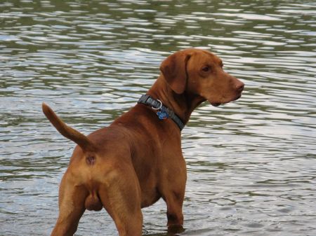 Image of Basalt Bluffs Copper Caper