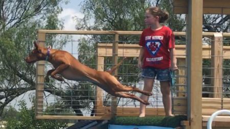 Image of Widdershins Magickal Skye At Regal Point