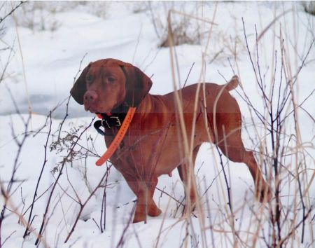 Image of Cliffside's Run'In On Hi Test
