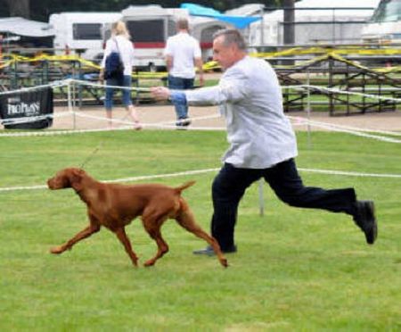 Image of Toldin Dances With Huns