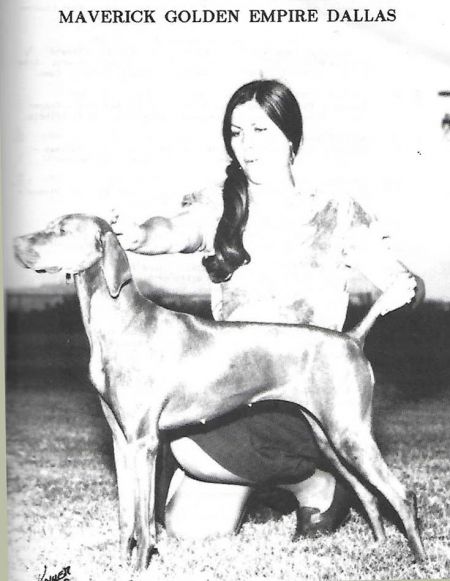 Image of Mavrick Golden Empire Dallas