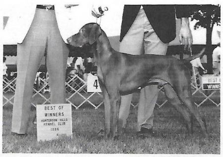 Image of Kahala Harann Copper Chuck