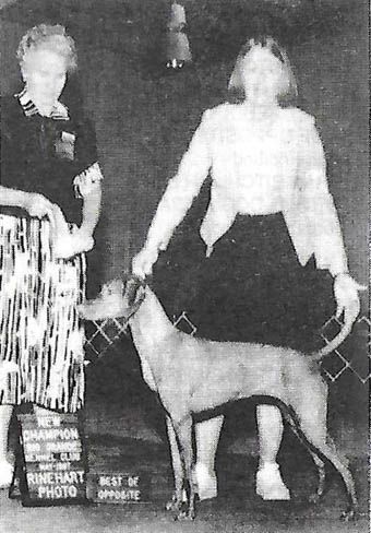 Image of Nyircsaszari Slivovitz