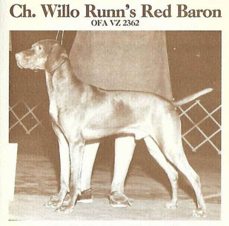 Image of Willo Runn's Red Baron