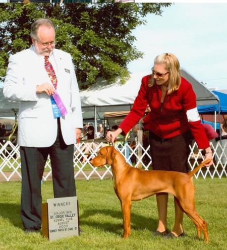 Image of Jackpot Here We Go Again