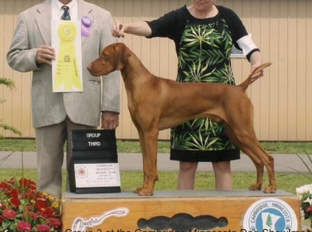 Image of Jackpot Bean Stalk