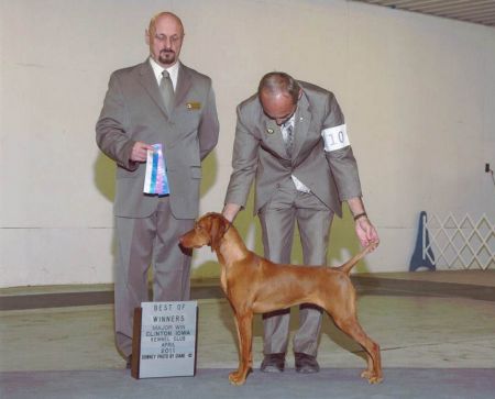 Image of Kizmar Surfing Th'Halfpipe