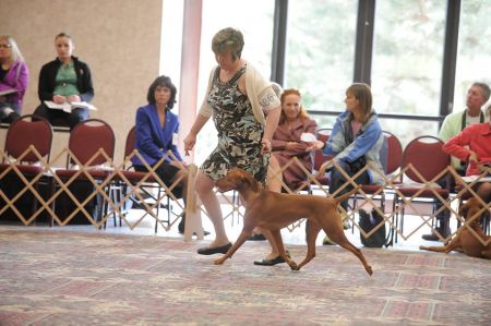 Image of Kizmar Surfing Th'Halfpipe