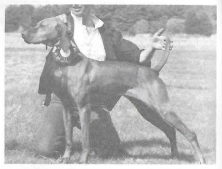 Image of Camelot's Capricious Caper