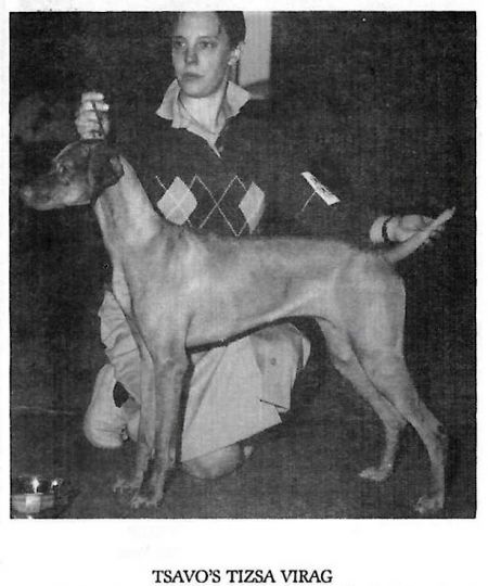 Image of Tsavo's Tisza Virag