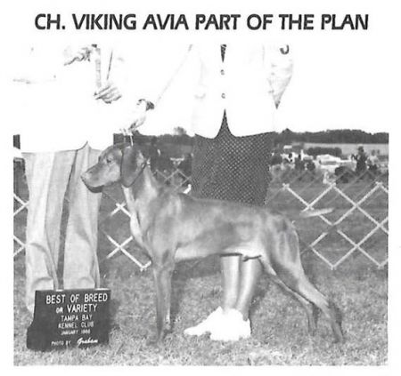 Image of Viking Avia Part of The Plan