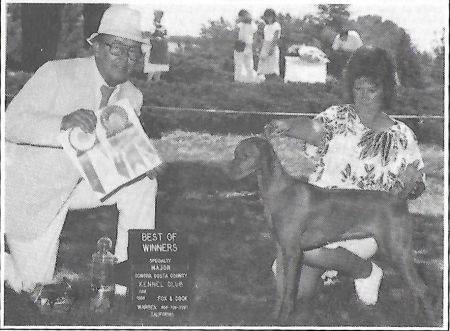 Image of Caveat Russet Leather Creel