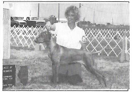 Image of Morning Sky Rude And Reckless