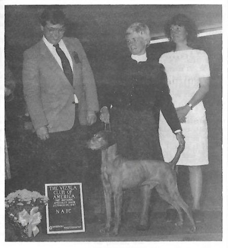 Image of Sam's Star-Buck