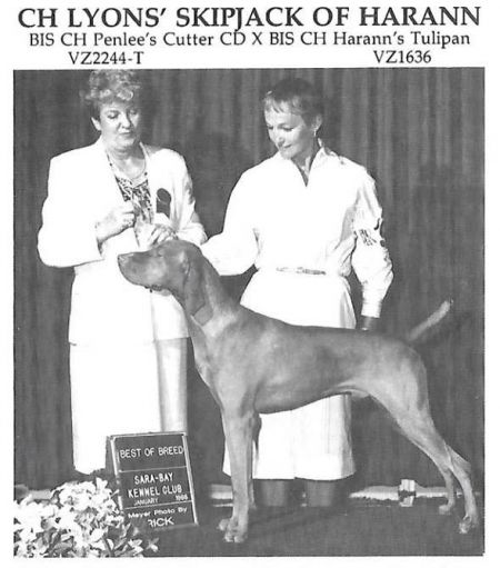 Image of Lyons'skipjack Of Harann