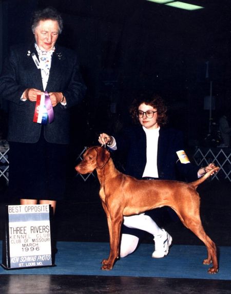 Image of Hell's Angel Of Jazzberry