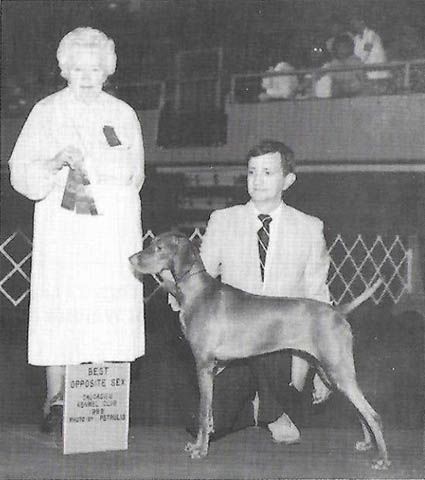 Image of Penlee's Constant Caper