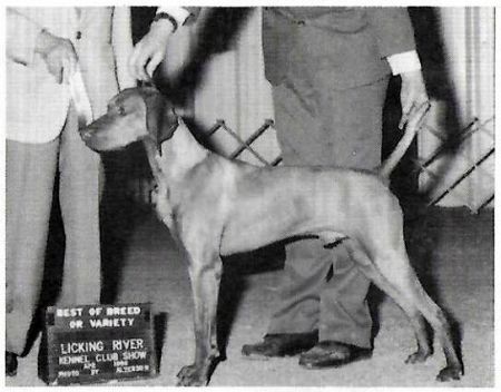 Image of Brance's Rising Solo Sun