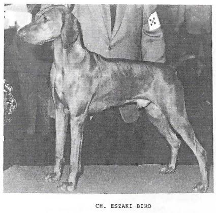 Image of Eszaki Biro