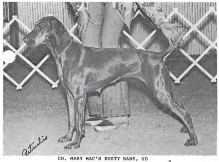 Image of Mary Mac's Rusty Babe