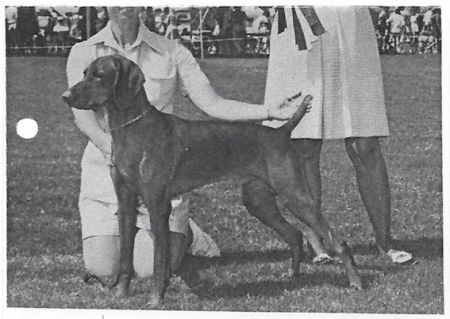 Image of Pinar Barat