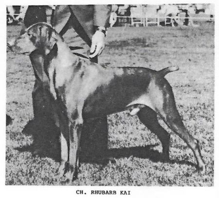 Image of Rhubarb Kai