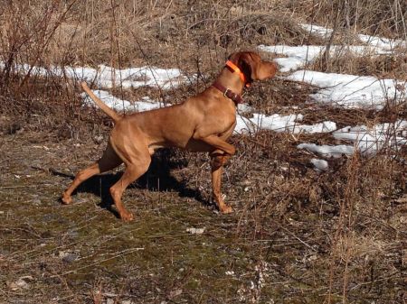 Image of Szizlin's Da' Burhdhunta