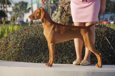 Image of Rhapsody Dezertfyre Write UR Stori