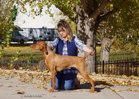 Image of Rhapsody Pop N' Circumstance