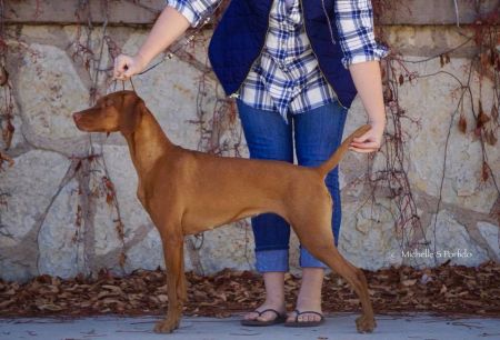 Image of Rhapsody Feelin' Hot Hot Hot