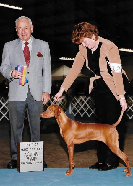 Image of Chrisand's Rustic Royalty