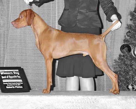 Image of Sokoldalu's Power Shiftn Out Of First By Tierah