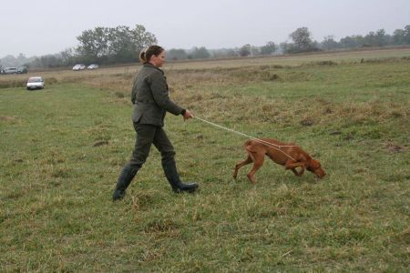 Image of Odorarius Deres