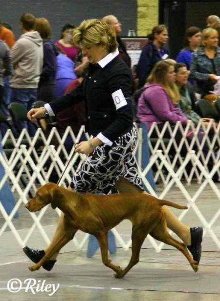 Image of Cruiser's My Little Darlin'