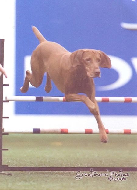 Image of Trisha Cruiser's Radar