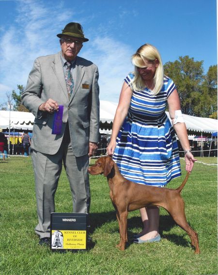 Image of Kizmar Calibre Super Combined