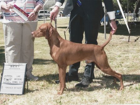 Image of Lea's Silli Madar Kai Of Tok
