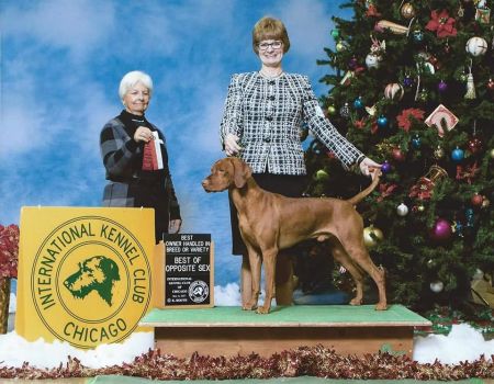 Image of Autumn Acres Red Velvet Affair